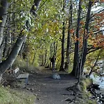 ✭huippuvarusteltu Luksuskoti, Sauna, Ilmainen Pysaekoeinti✭ Tampere