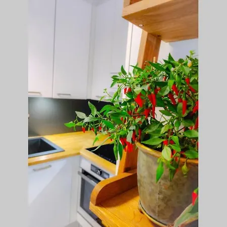 ✭huippuvarusteltu Luksuskoti, Sauna, Ilmainen Pysaekoeinti✭ Τάμπερε