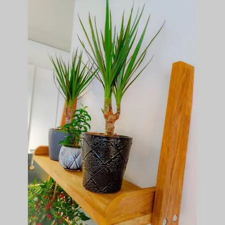 ✭huippuvarusteltu Luksuskoti, Sauna, Ilmainen Pysaekoeinti✭